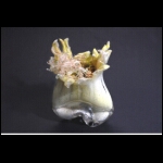 Thaw's Dance 8x6x6 in.jpg